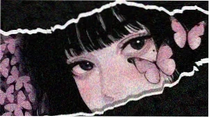 鸭奈飞 嘎嘎好看