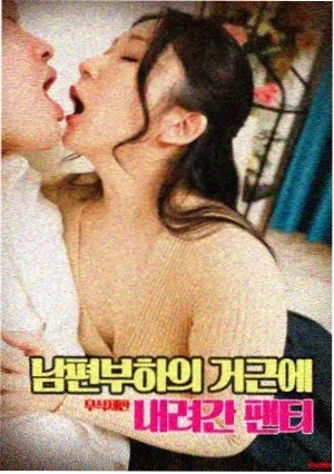 羽毛风暴